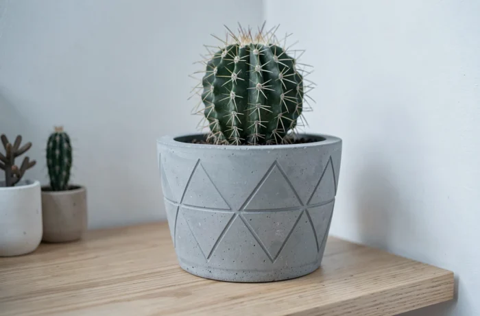 Pot artisanal en béton moulé avec texture géométrique contenant un cactus posé sur une étagère en chêne clair
